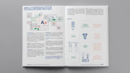 Mise en page pédagogique de l'étude sur les consommations énergétiques des logements martiniquais.
