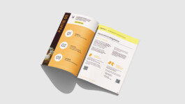 Design d'information dédié à la prévention de la salmonelle avec une mise en forme claire et pédagogique. 