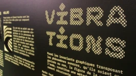 Vue de la scénographie de l'exposition Morfosonic 