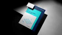 Déclinaison de l'identité graphique énergies marines sur des supports de communication institutionnels. 